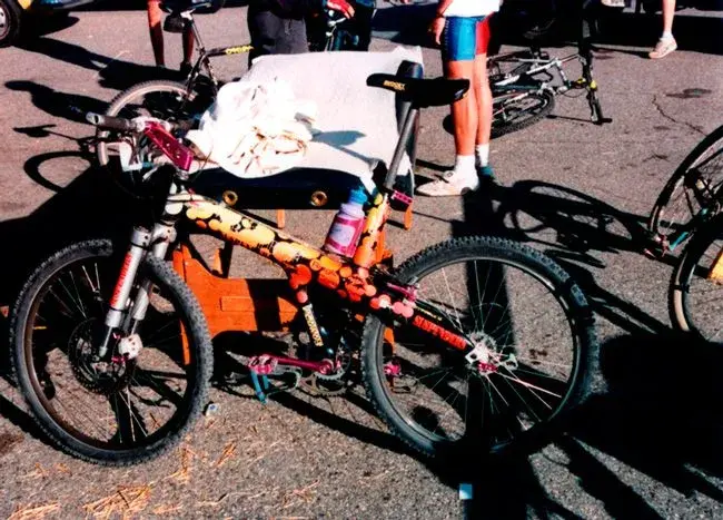 Jakes 1991 Trimble, Mammoth.webp