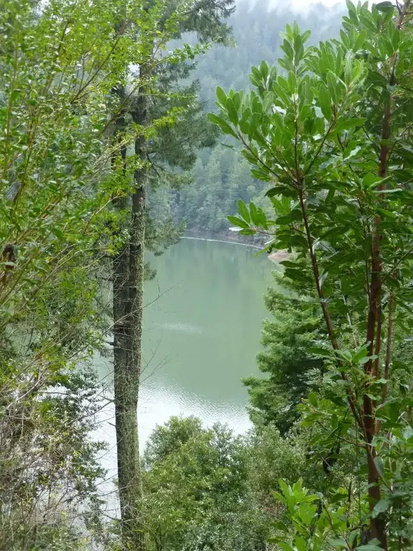 Above Kent Lake.webp