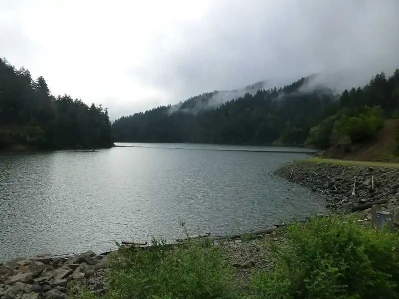 From the Dam.webp