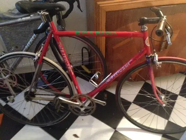 Moser1.webp