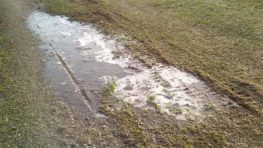 tire tracks.webp