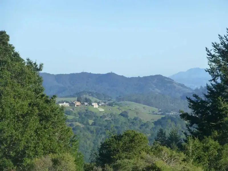 View from above.webp