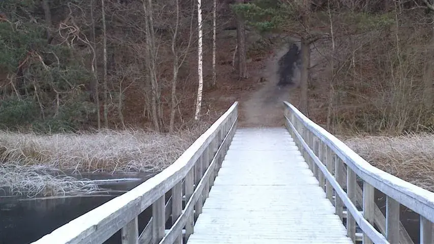 steep and icy.webp