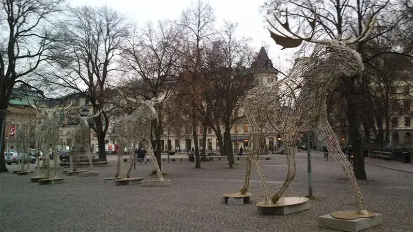 urban wildlife.webp