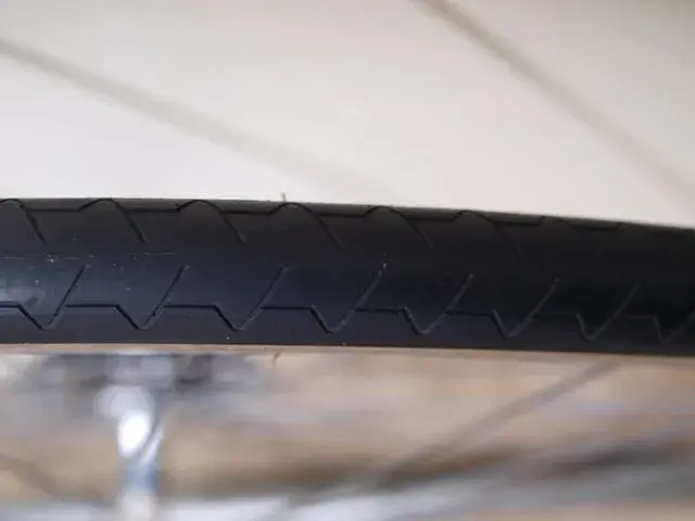 Tyre rear.webp