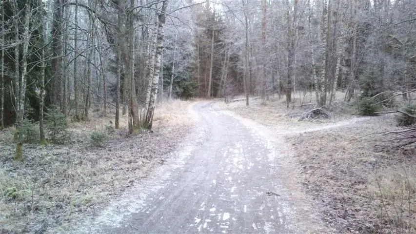deep frozen icepack.webp