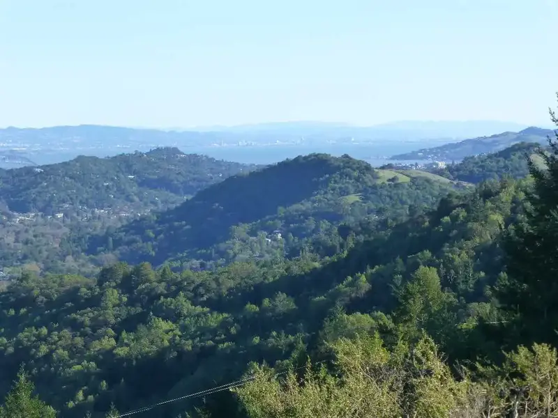 South Bay.webp