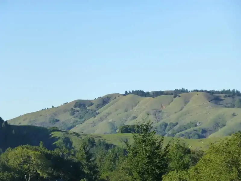 Looking North.webp