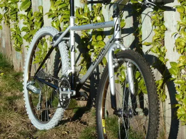 Brodie Custom1 002.webp