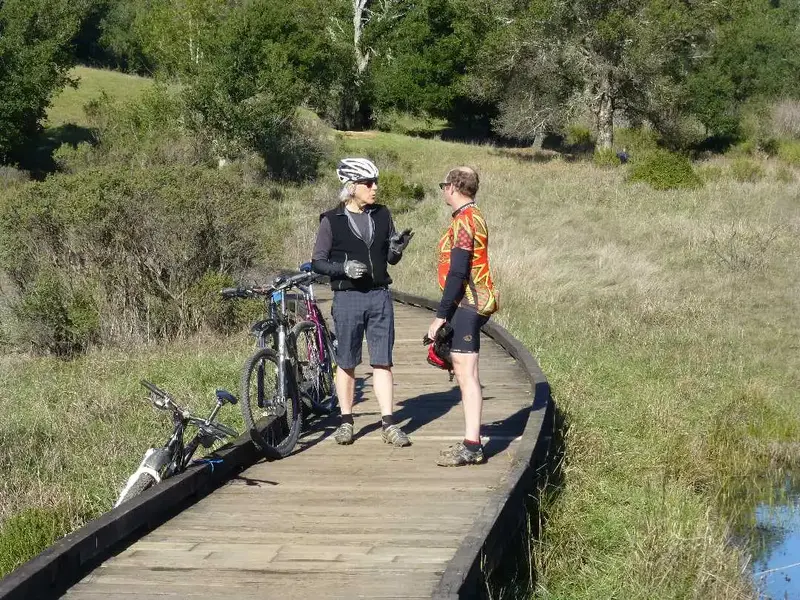 At the Magic Bridge.webp