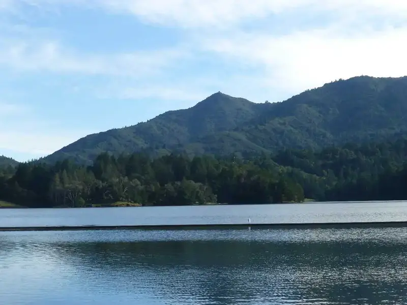 Mt. Tam.webp