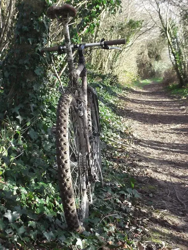 ride 27th Dec 3.webp