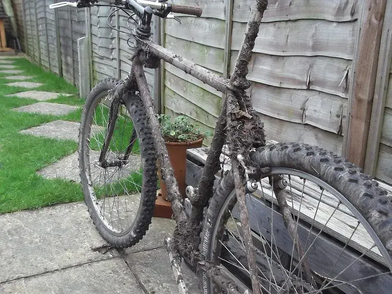 ride 27th Dec 4.webp