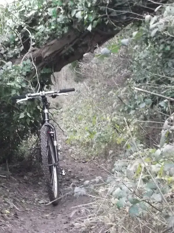 ride 30th dec 2.webp