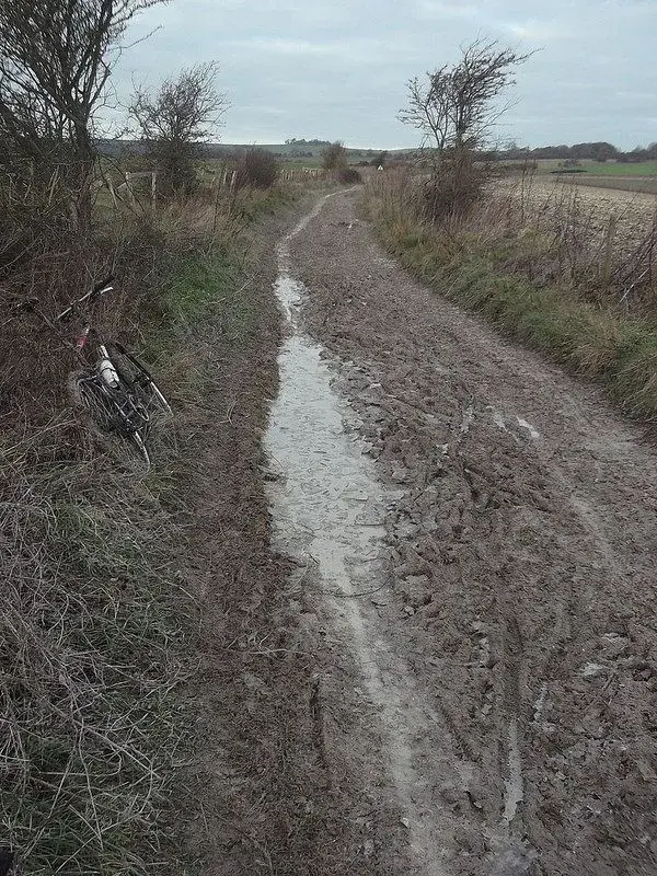 ride 30th dec 3.webp