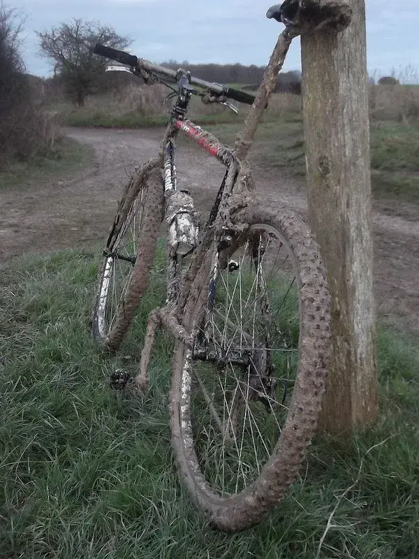 ride 30th dec 4.webp