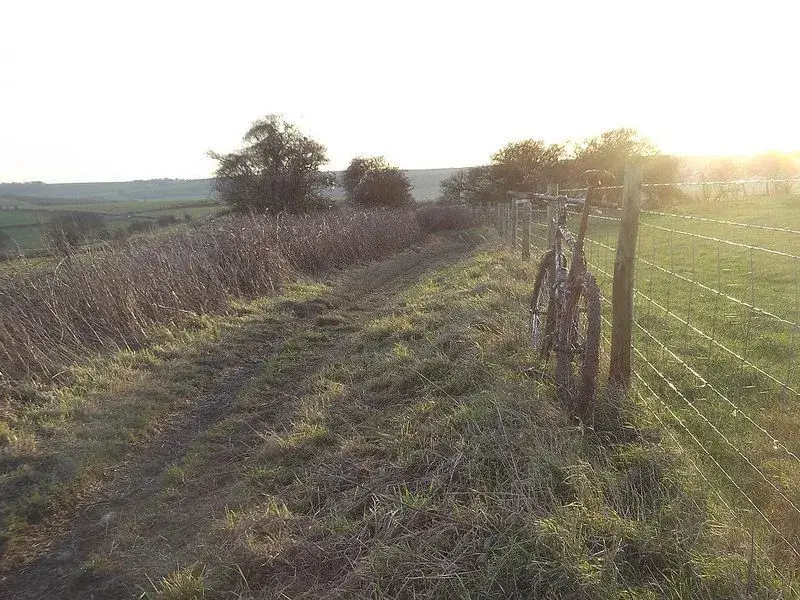 ride 30th dec 8.webp