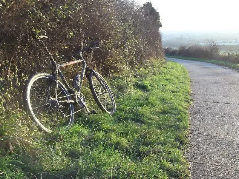 ride 30th dec 9.webp