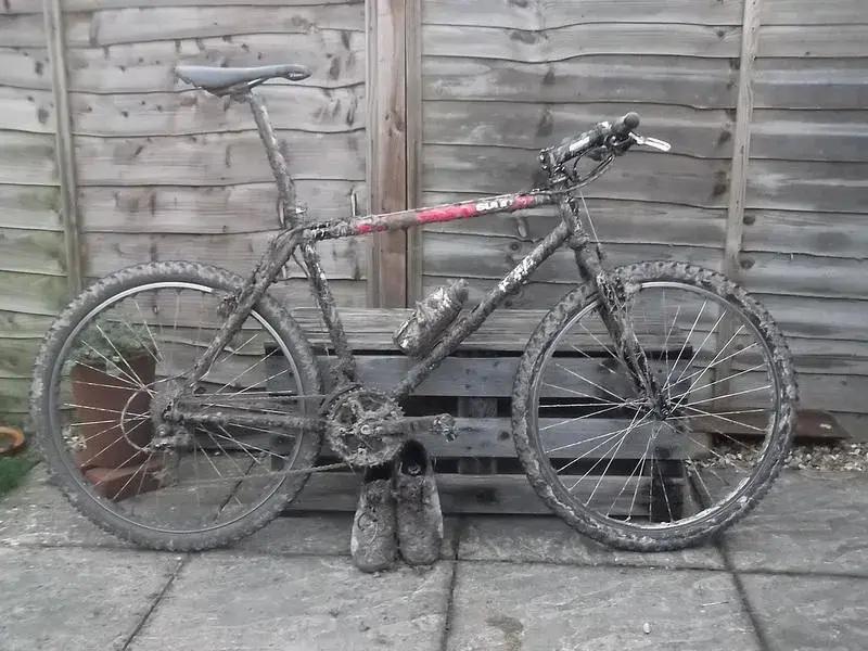 ride 30th dec 11.webp
