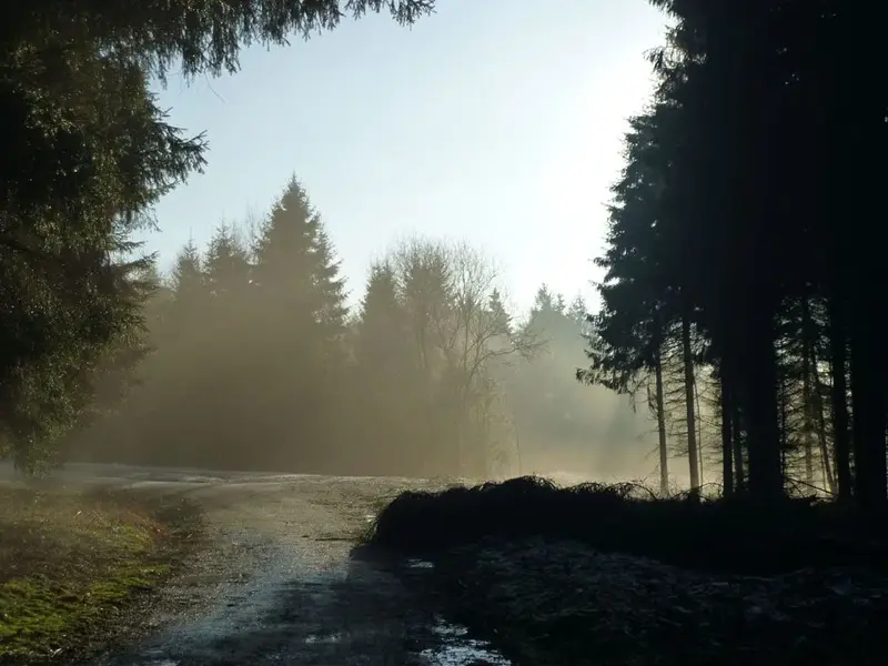 Into the light3.webp