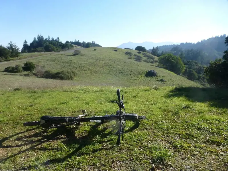 Part way up.webp