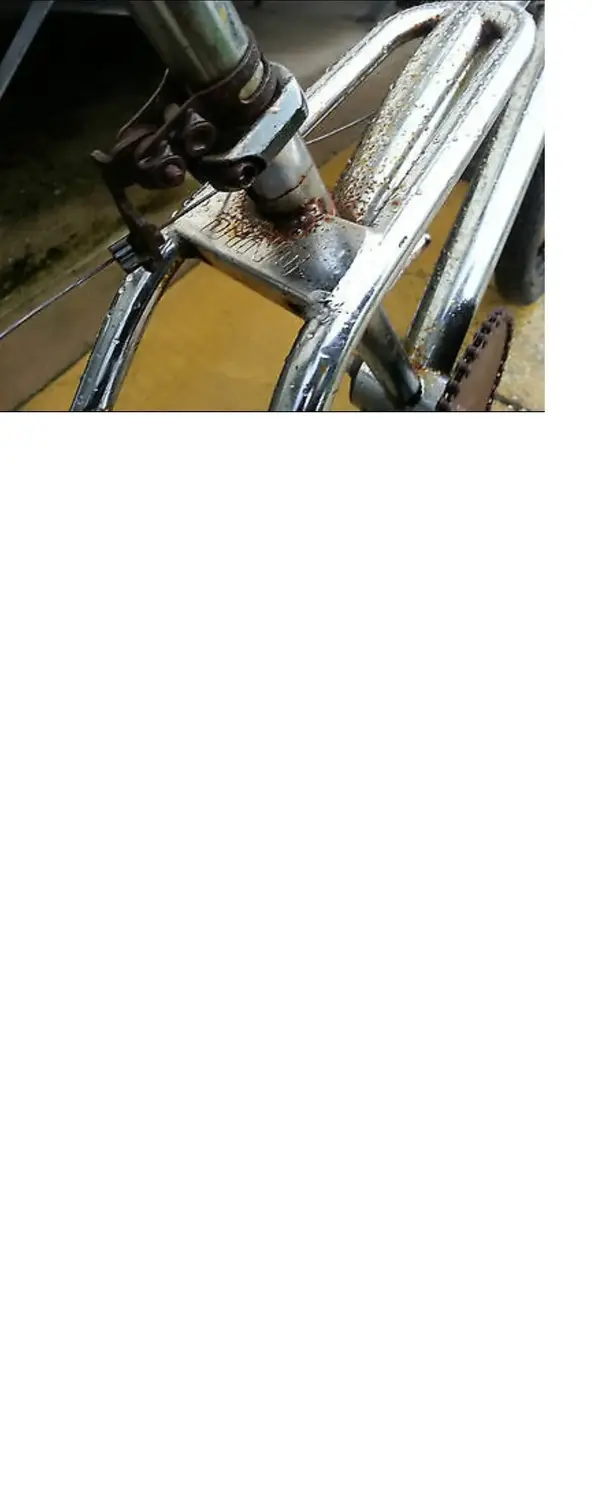 1c.webp