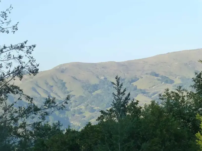 Loma Alta ridge.webp