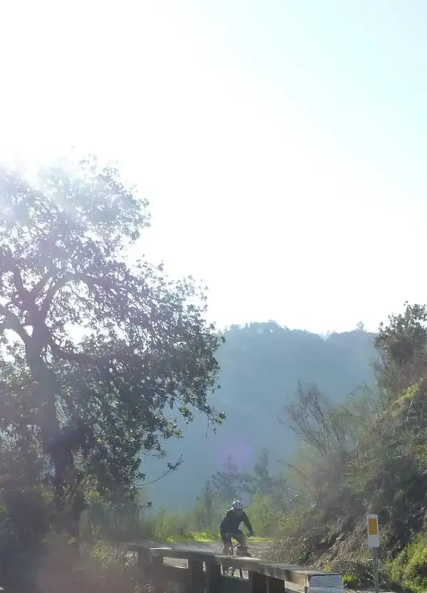 Climbing.webp