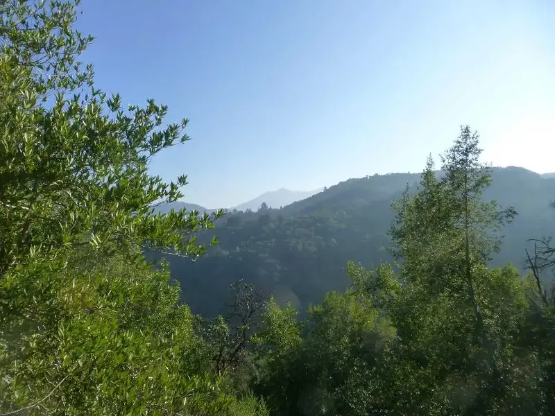 On the way up.webp