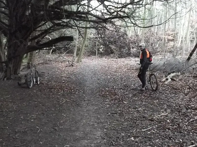 ride jan 4th 2.webp