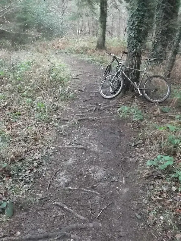 ride jan 4th 3.webp