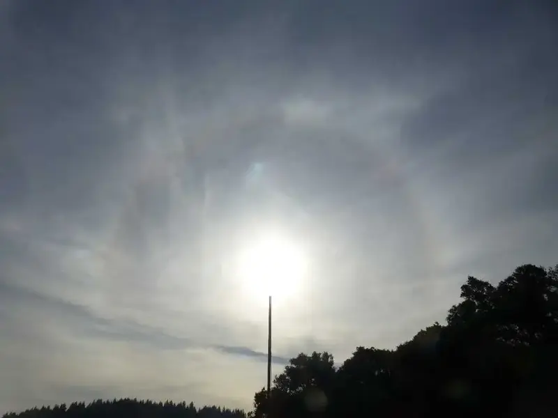 Sun Halo.webp