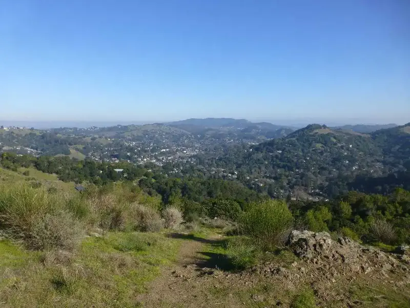 Above Fairfax.webp
