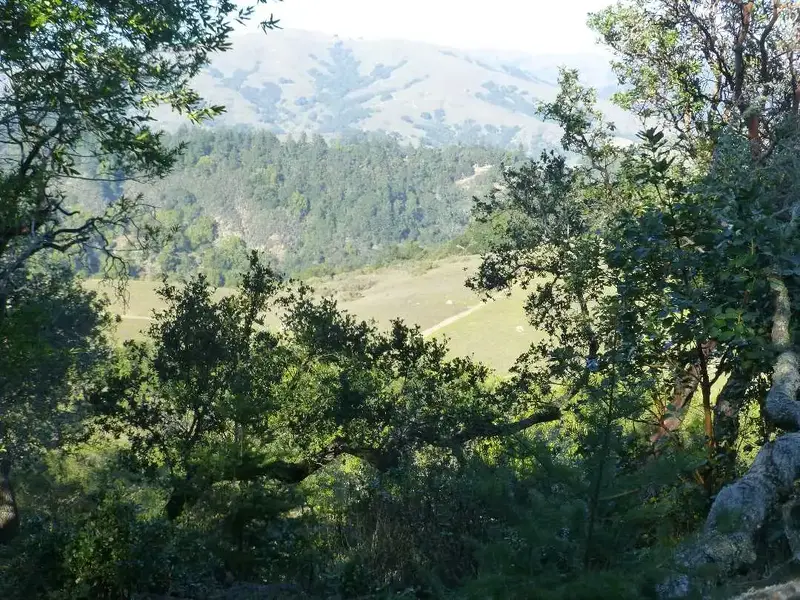 Above Tamarancho.webp