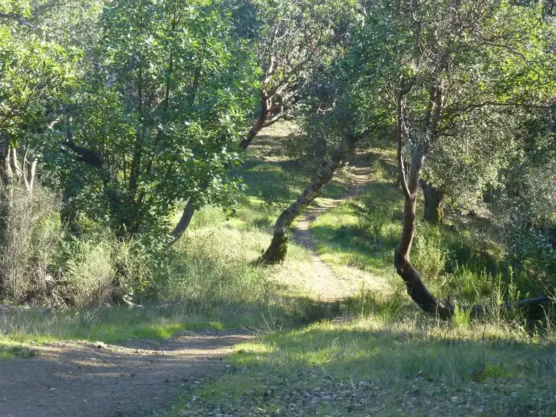 Today's trail.webp