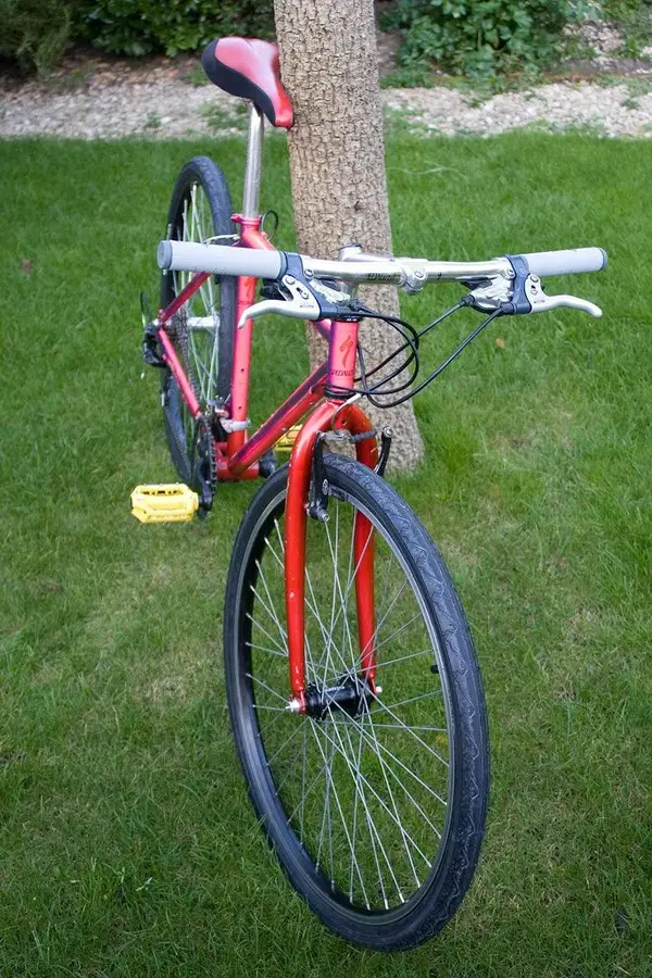 Specialized-Front-Shot.webp