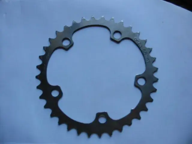 singlespeed chainring.webp