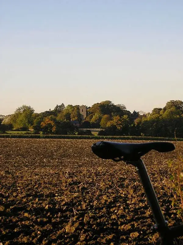 Autumn.webp