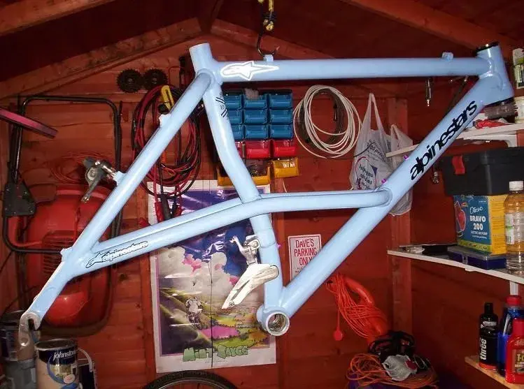 alpine shed.webp