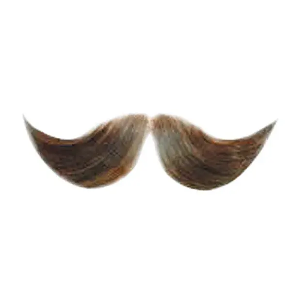 624.x600.eat.ft.mustache[1].webp