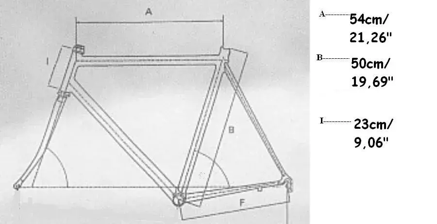 geometria_186.webp