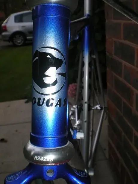 bikepics 004resize.webp