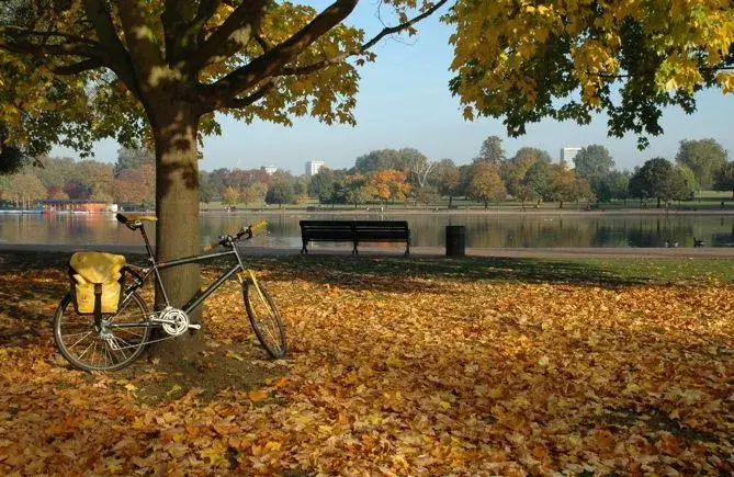 Hyde Park.webp