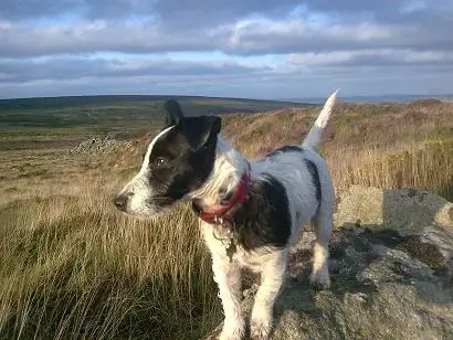 Image020aa.webp