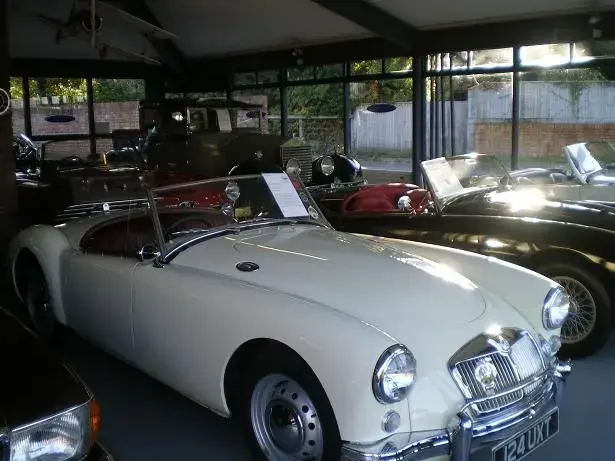 cars, bike ride 005resize.webp