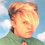 flock-of-seagulls.webp