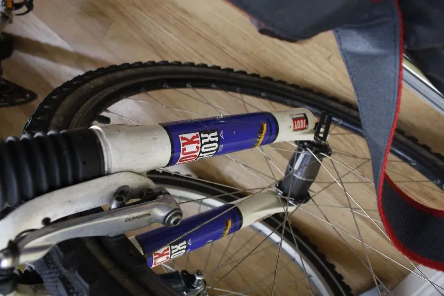 GT Zaskar LE Forks.webp