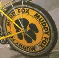mfoxdisc.webp