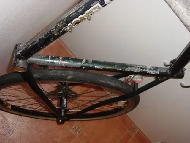 20102008 008.webp
