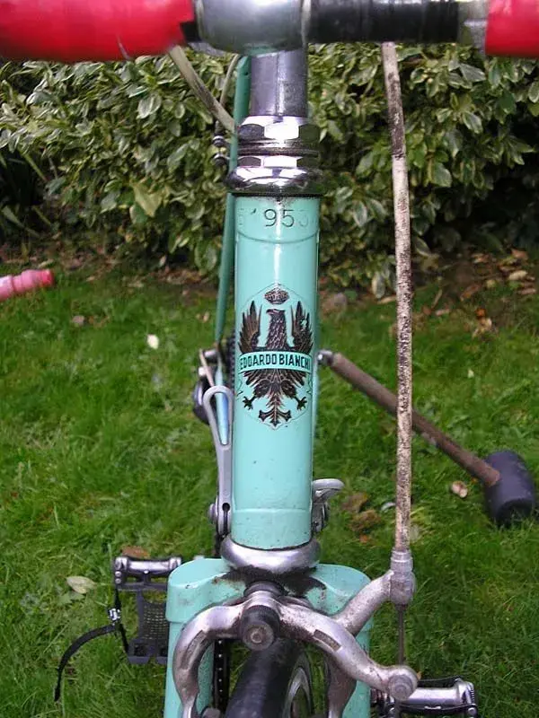 Bianchi2.webp